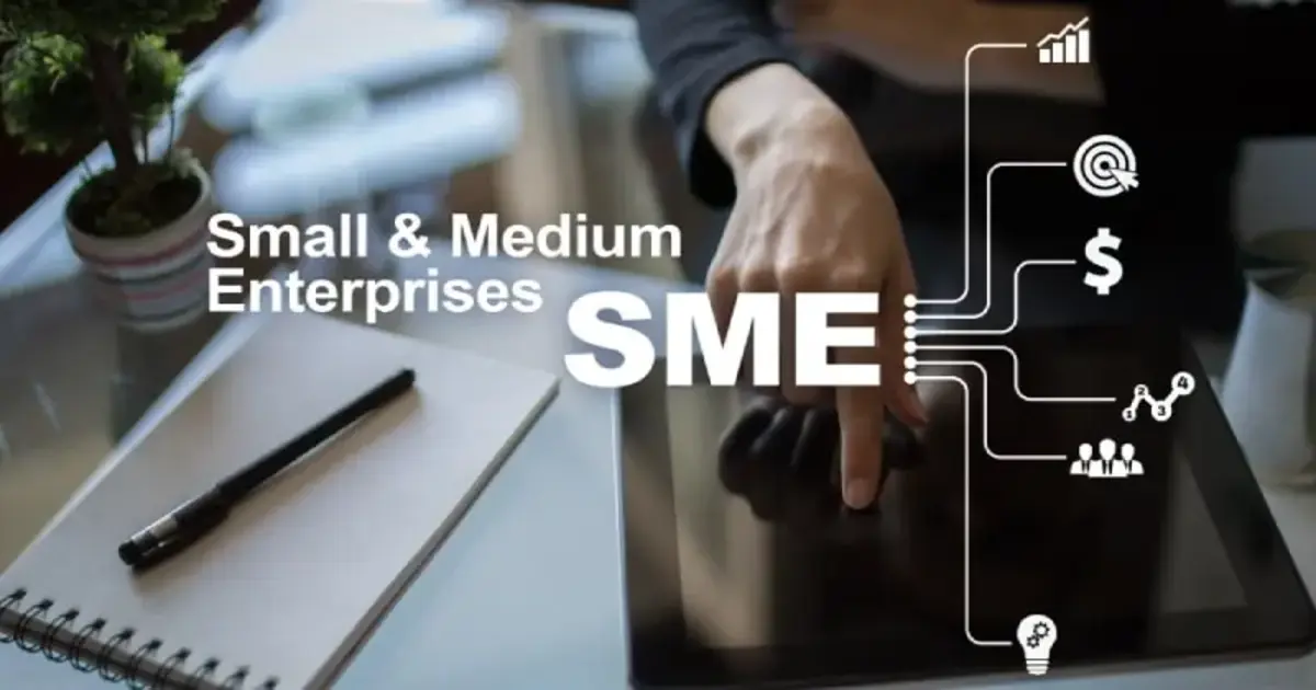 Small and medium enterprises — the businesses the fund serves